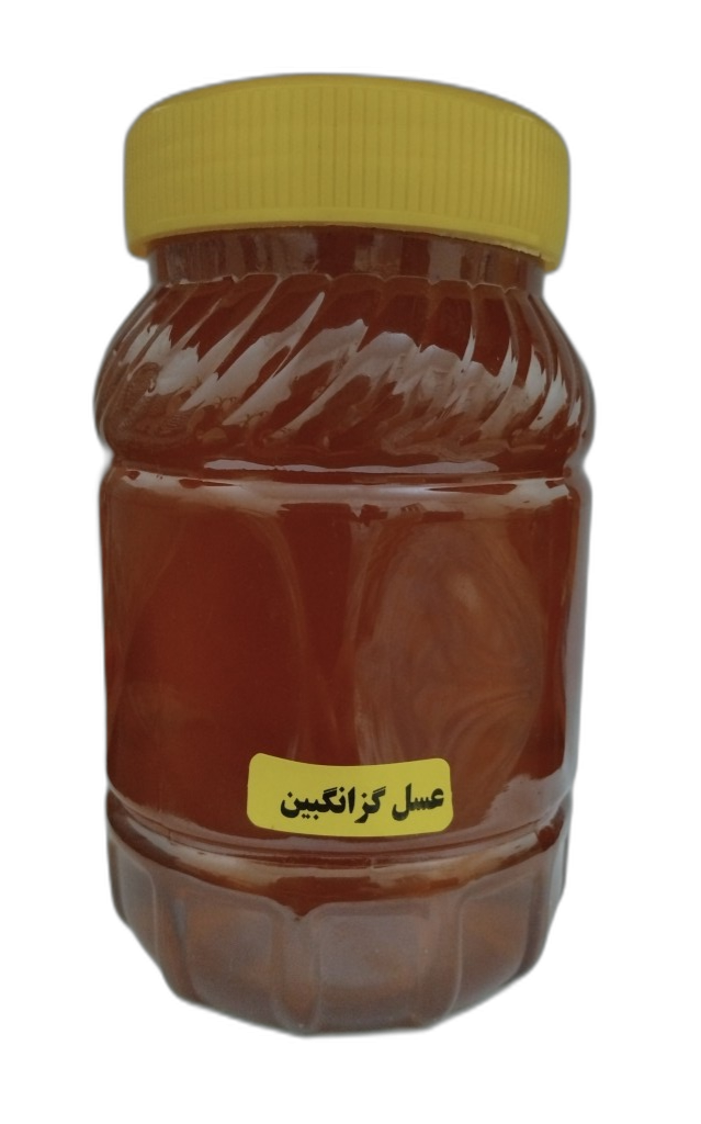 عسل گزانگبین "عسل گزانگبین طبیعی، مناسب برای تقویت معده و رفع خستگی با طعمی شیرین و خواص ضد التهاب."